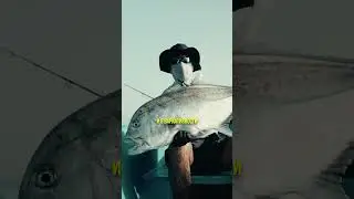Самое уникальное место для рыбалки! #джибути #рыбалка