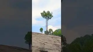 The Beauty of Kahuta and Narar😍 #kahuta #nature #shortsfeed #shortsyoutube #share #shortvideo #twa