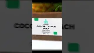💆 Coconut Beach Soap &ndash; Your Tropical Spa at Home 💆