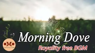 Morning Dove || Free Background Music || Royalty free #cocktail#bgm#nocopyright#royalityfree