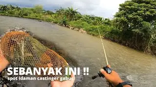 ASLI INI BANYAK  .. !! CASTING IKAN GABUS DI SUNGAI