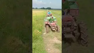 Amazing tractor transport rice