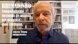 Brumadinho: comportamento animais pr&eacute;-desastre e outros exemplos