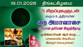 5 சிறப்புகளுடன் தை அமாவாசை! சரியான தர்பண நேரத்தோடு!  மாலையில் அவசியம் இதை செய்யுங்கள்! @aalayavideo