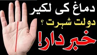 Brain Line | Dimagh Ki Lakeer Sy Insan Ka Raaz | Kamyabi Shohrat Dolat | Palmistry Hand Reading