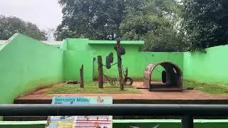 Akhirnya bisa ke ragunan lagi!✨✨