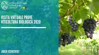 Visita virtuale prove viticoltura biologica 2020