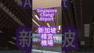 Singapore Changi Airport新加坡樟宜機場#china#singapore #changiairport #4k #malaysia #捷運 #台北 #taipei #taiwan