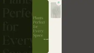Plants perfect for every space😇 #trending #plants #plantsforbeginners #easygardening