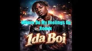 1DA BOI - Where Do My Feelings Go (Remix) | (Official Music Video)