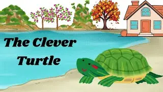 The Clever Turtle 🐢 | kids bed time stories