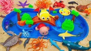 [🦈Toy ASMR🦈] Sea Animal Toys & Baby Shark Pinkfong Fishing Water Playset | Satisfying Unboxing