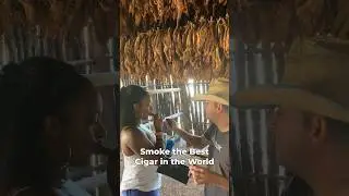 Farm Tour All About Cuban Cigars and Activities
