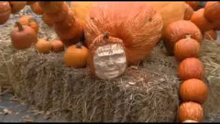 Halloween Pumpkin Zombies Package