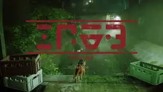 Finding Clementine | Stray 1440p NO commentary gameplay | 03