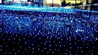 Starlight Garden at Newtown Plaza Hong Kong Dec 2011