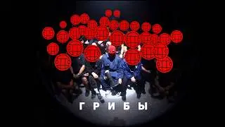 Грибы - Копы