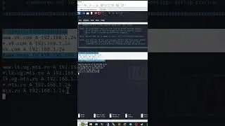 Защищает ли HSTS от какеров?  
