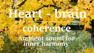 Heart-brain coherence meditation: Ambient sound for inner harmony