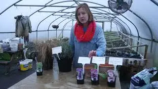 Garden Planning for 2021