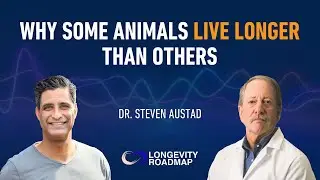 Why Some Animals Live Longer Than Others w/ Dr. Steven Austad