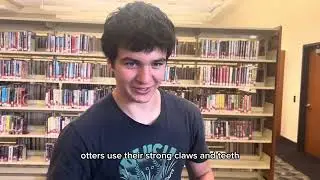 Otter project