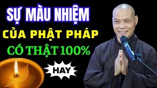 Câu chuyện có thật 100% về sự Nhiệm Màu của Phật Pháp (rất hay) - Thầy Thích Trí Chơn
