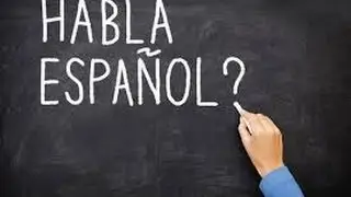 LSN9999 Lead System Network Espa&ntilde;ol | LSN Spanish