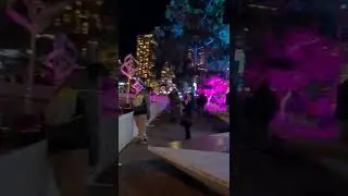 Sydney's Vivid Lights 2022