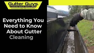 Everything You Need to Know About Gutter Cleaning Services | Gutter Guys