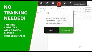 Dragon Professional 15 - No Training Needed [FIRST 5 MINS USE]
