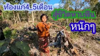 น้องเติ้นขยันจริงๆน้องแดงน้องกึกก็มาหาฟืนด้วย✌️🇱🇦❤️🇹🇭#แม่น้องรุ่งบ้านนา#18/1/26