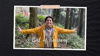 Kurseong Full Travel Guide 🚞 | পাহাড়ি সৌন্দর্য, ইতিহাস ও দর্শনীয় স্থান | Hidden Gems & Viewpoints