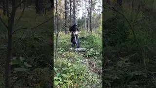 Ломаем бревна 😅#enduro #эндуро #лес #roliz300 #regulmoto #short #shorts #top #sports #rek