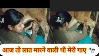 Cow milking by hand 🐄||village vlogs #cowmilking #ytshorts #youtubevideos #villagerlifestyle 