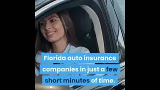 Cheap Car Insurance Tampa|Auto Insurance Tampa|(469) 607-6231