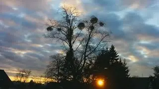 Time Passes - Montage