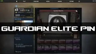 GUARDIAN ELITE PIN