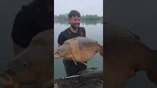 65lb #fishing #francecarpfishing #frenchcarp #carp #carpfishing #carpangling #carpe #carping