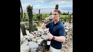 Wine Travel: Argentina&rsquo;s Cafayate region of Salta 🇦🇷