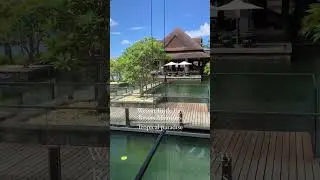 Westin Turtle Bay Resort Mauritius 🍃 A tropical paradise 🍃#shorts