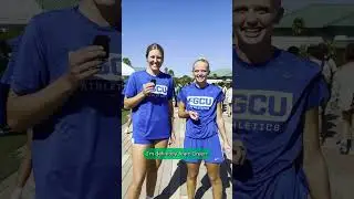 BLUE VS. GREEN!