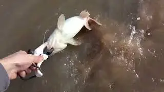 New Mexico Catfishing On the Rio Grande