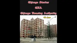 Chicago Stories - CHA Chicago Housing Authority - Growing up in Chicago - Street Gangs & Violence