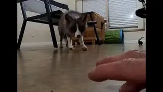 Late night ATTACK!!