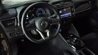 Nissan Leaf 2021