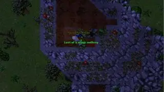 have to found a honey flower - honey quest