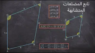 تابع المضلعات المتشابهة || رياضيات أول ثانوي || الفصل الثالث