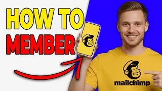 How To Add Team Members In Mailchimp (User Management 2026)