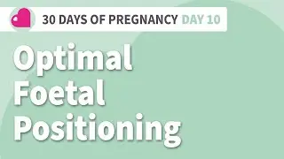 The Best Position For Your Baby? Optimal Fetal Positioning - Hypnobirthing Techniques - Day 10